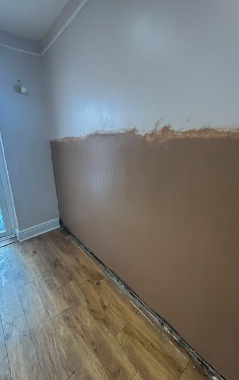 Damp treatment - wall replastering in progress